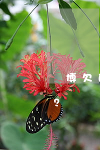 賭博欠的債務(wù)需要償還嗎？